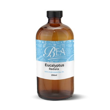 Eucalyptus Radiata Pure Essential Oil 250ml-Gracefield Farmacy
